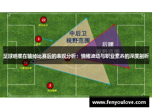 足球明星在输掉比赛后的表现分析：情绪波动与职业素养的深度剖析